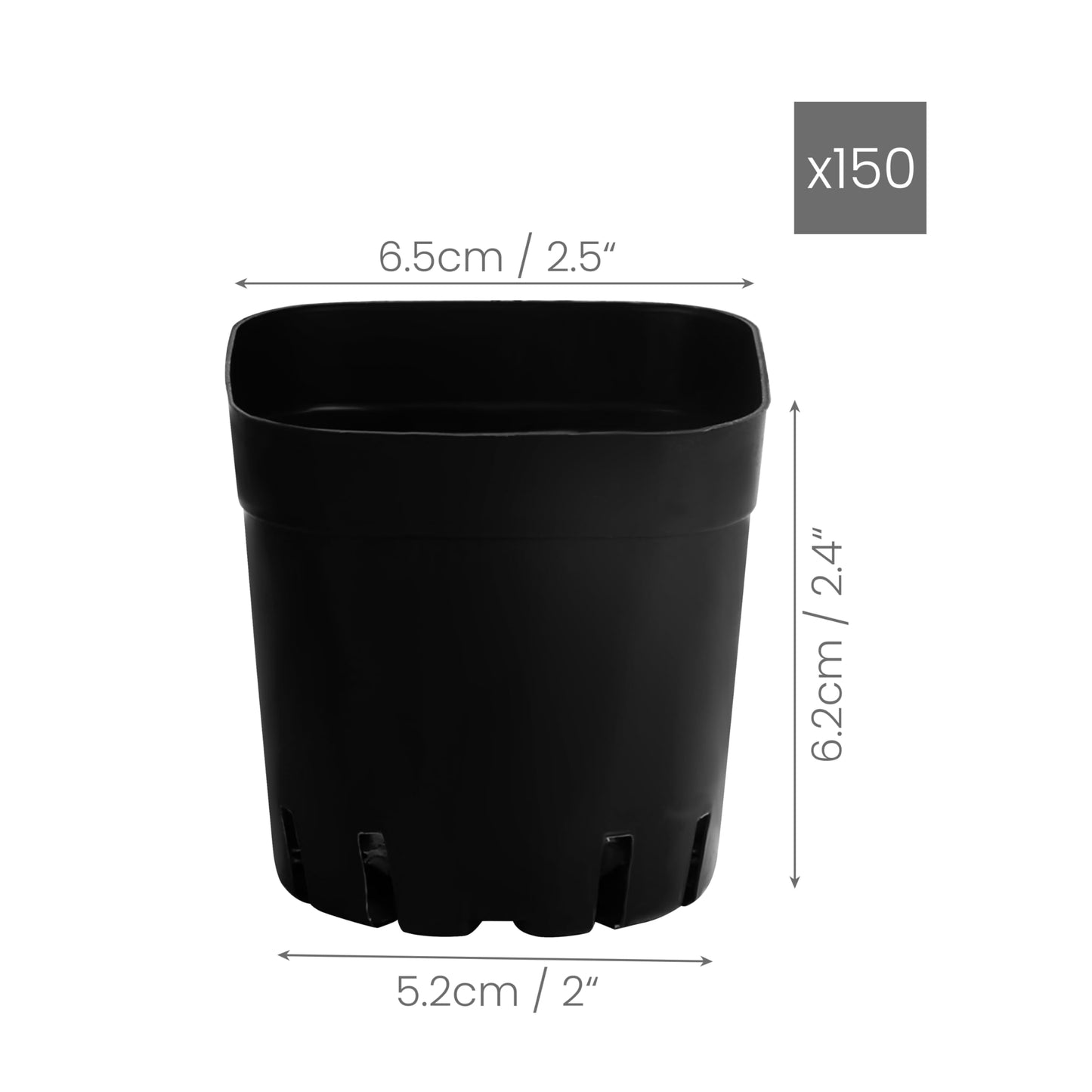 BELLE VOUS 150 Pack Square Plastic Plant Nursery Pots - 6.5 x 6.5 x 6.2cm / 2.5 x 2.5 x 2.4 inches - Durable Flower/Seedling Containers for Succulents, Vegetables, Gardens/Indoors and Seed Starting