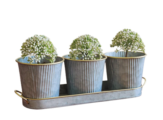 Dipamkar Set of 3 Galvanized Windowsill Herb Pots Metal Herb Planters Wth Saucer for Kitchen Window Indoor and Outdoor Use