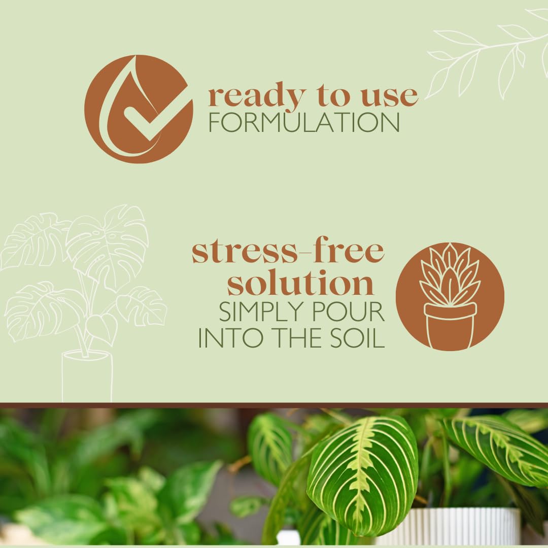 Baby Bio Pour & Feed Liquid Plant Food, 1L - Ready To Use Houseplant Food - with Seaweed Extract - to Stimulate Healthy Growth and Vibrant Flowering - Indoor Use Plant Nutrition