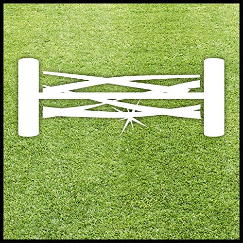 Einhell GC-HM 300 Hand Push Lawnmower -- Manual Lawn-Mower With 30cm Cutting Width, 16L Grass Box, 4 Cutting Height Levels -- Walk-Behind Lawn Mower For Small Gardens, Red & Black