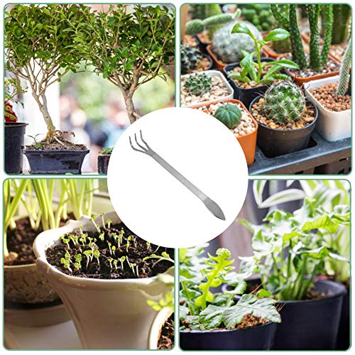 Haofy Stainless Steel Bonsai Rake, 3-Prong Root Rake for Loosening Soil, Bonsai Tree Gardening Tools with Ergonomic Handle for Flowers Plants