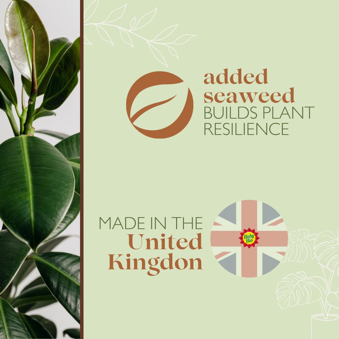 Baby Bio Pour & Feed Liquid Plant Food, 1L - Ready To Use Houseplant Food - with Seaweed Extract - to Stimulate Healthy Growth and Vibrant Flowering - Indoor Use Plant Nutrition