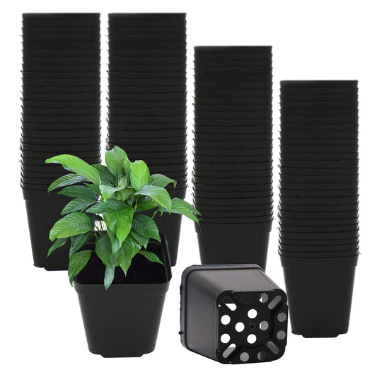 GGOUPTY Plastic Square Plant Pots 5 cm 100 Pcs Succulent Planter Nursery Pots for Flower Staring Seedling