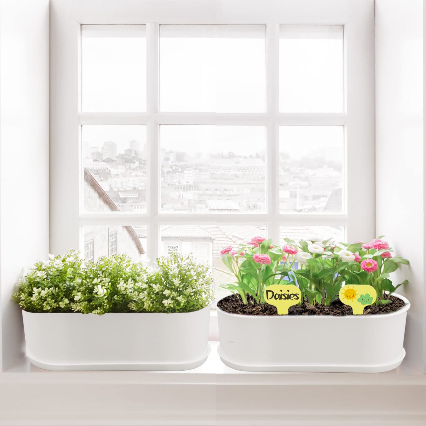 SYITCUN Window Planter Box Indoor 5 Sets,Plant Window Box with Tray,Rectangle Planter Small with Drain Hole,Plastic Plant Pot for Home Garden Modern Decorative Window Planter Box