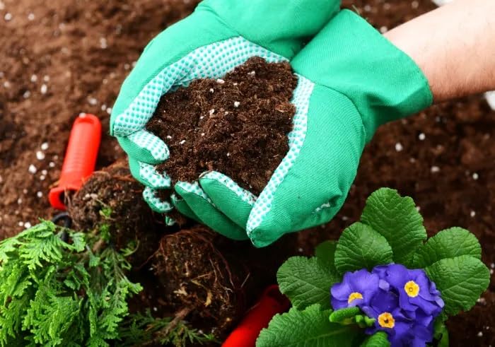 50L Soil Improver - Enriched Gardening Soils for Outdoor and Indoor Plants - Small to Large Plants - Promotes Rooting and Plant Vitality