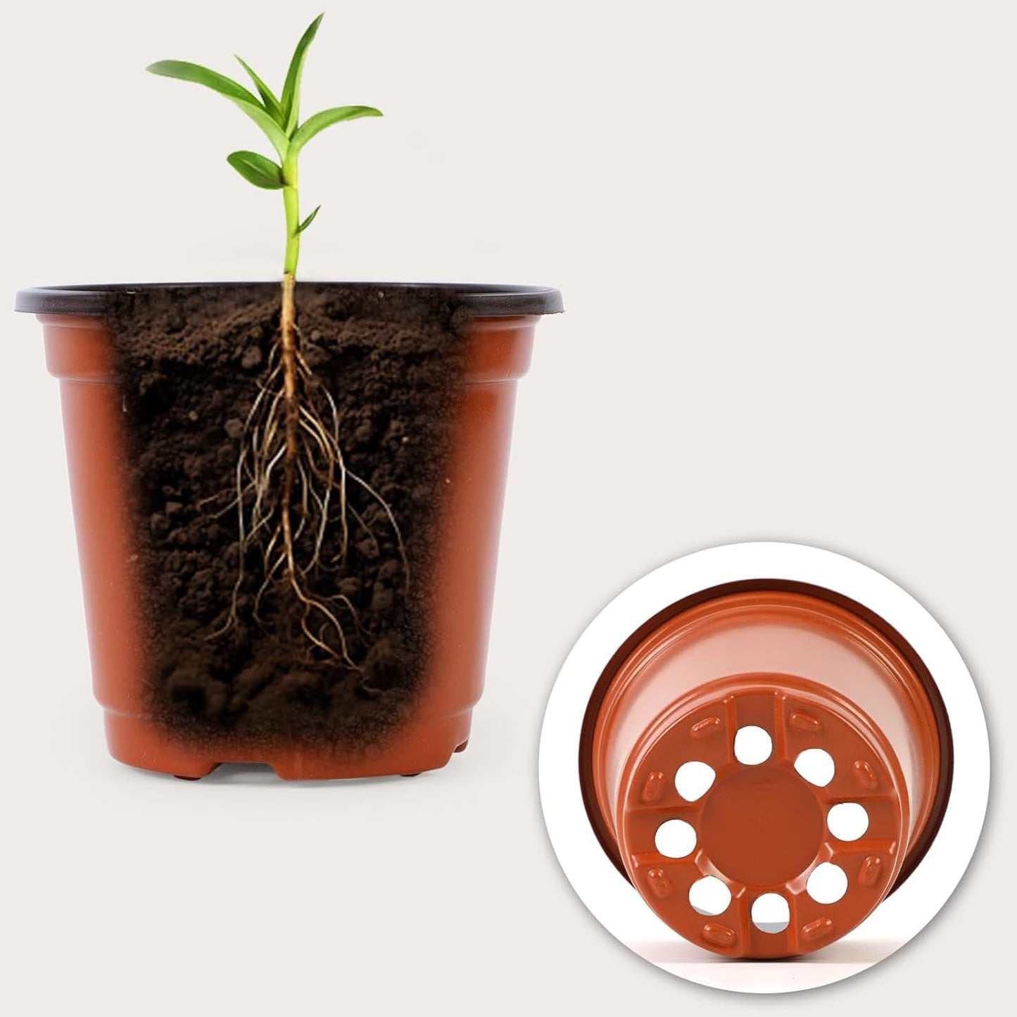 KPYZLBD Plant pots 100 Pcs, Plastic Flower Pots 10cm, Seedling Pots, Seed Planting Pots, Common for Vegetables, Fruits, and Herbaceous Plants