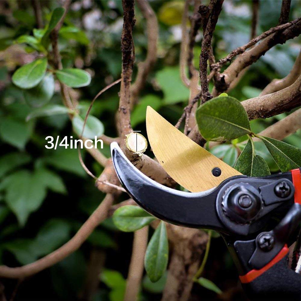SEEYC Professional 8 inches Premium Titanium Bypass Pruning Shears, Premium Utility Garden Clippers Scissors Sponge Handle Protector,Tree Trimmers Secateurs Hand Pruners