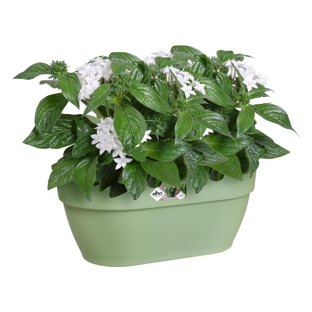 elho Vibia Campana Wall Basket 35 - Planter for Balcony & Outdoor - Ø 35.0 x H 14.8 cm - Green/Pistachio Green