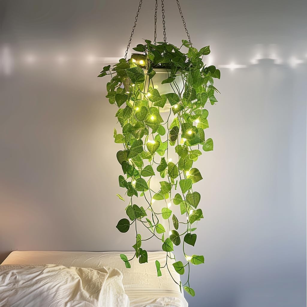 2 Pack Hanging Planters for Indoor Plants with LED Lights, Watering Hanging Pots Hanging Baskets Hanging Flower Pots with Drainage Holes & Removable Tray Outdoor Hanging Plants for Boho Home Window
