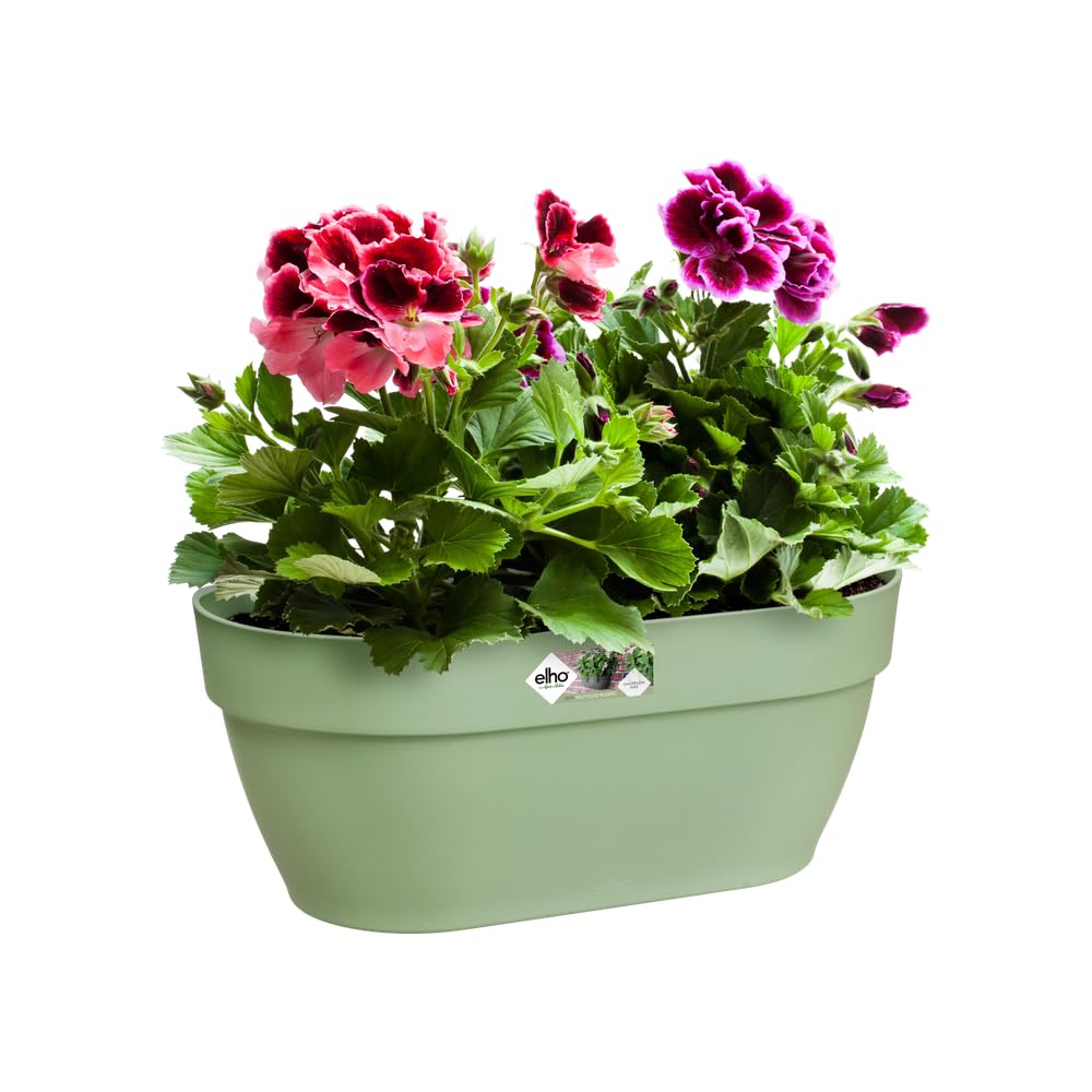 elho Vibia Campana Wall Basket 35 - Planter for Balcony & Outdoor - Ø 35.0 x H 14.8 cm - Green/Pistachio Green