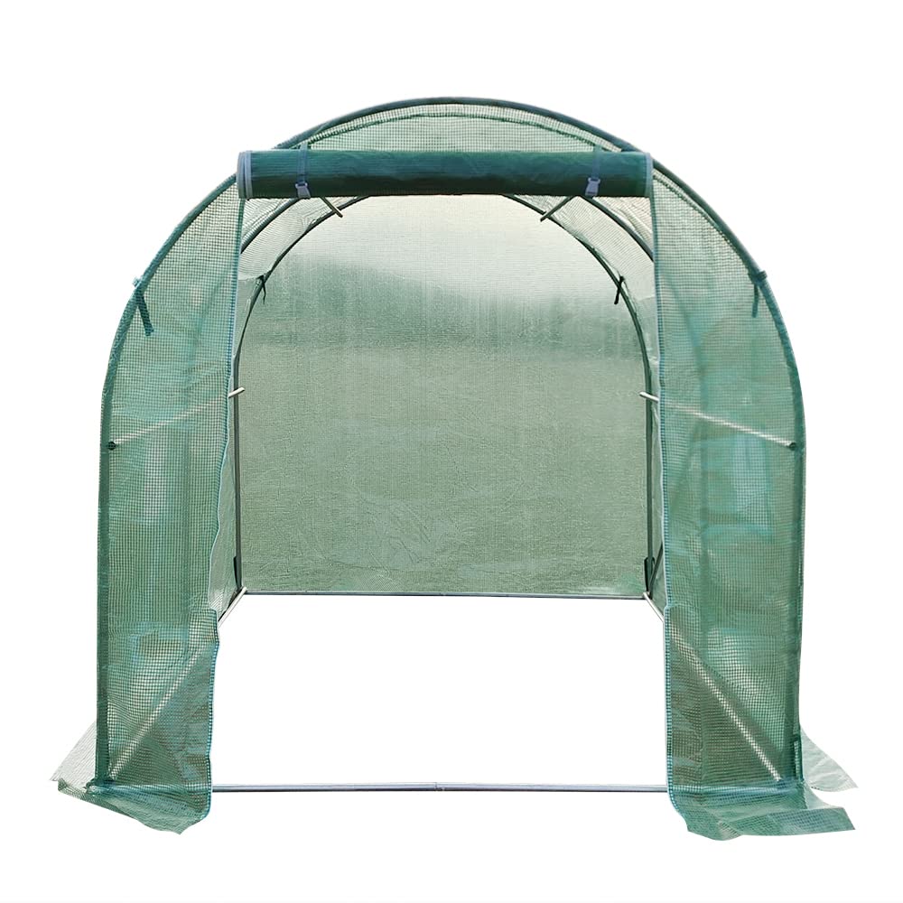 Walk In Polytunnel Outdoor Garden Greenhouse with Roll Up Door Steel Frame (2x2x2m)