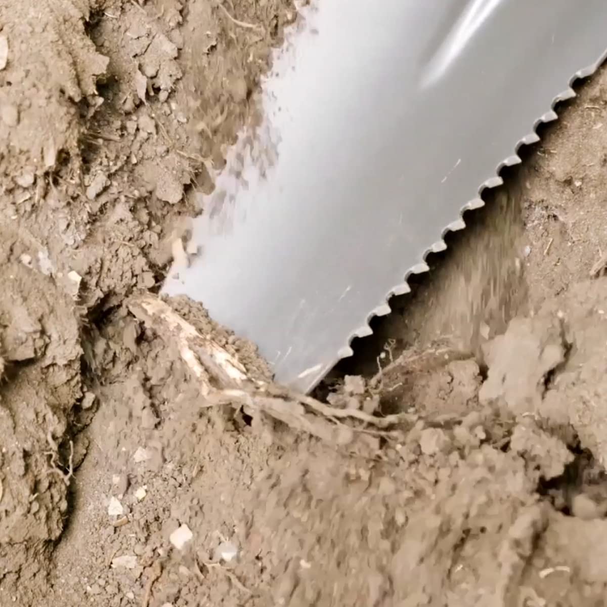 JML Rayzer Shovel Spade - Garden Tools for Root Cutting and Sawing in One with Serrated Saw Teeth and Durable Carbon Steel Head for Hard Ground - Saw Through Thick Branches and Clear Scrub