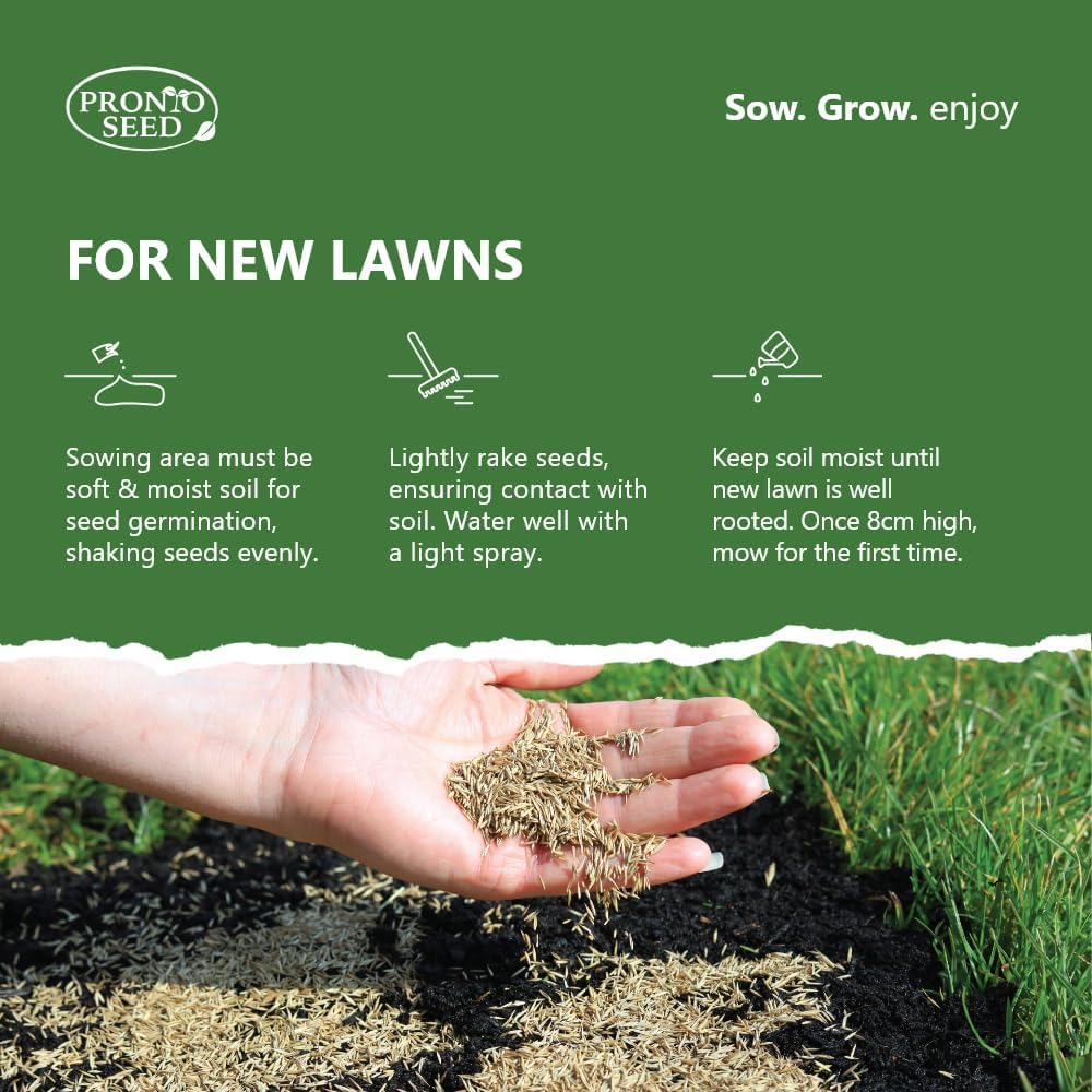 Pronto Seed Premium Grass Seed 1.4 kg - Fast Growing, Hard-Wearing - Covers 84m² for Lawns & Overseeding - DEFRA Approved & Tailored for UK Climate (1.4kg)
