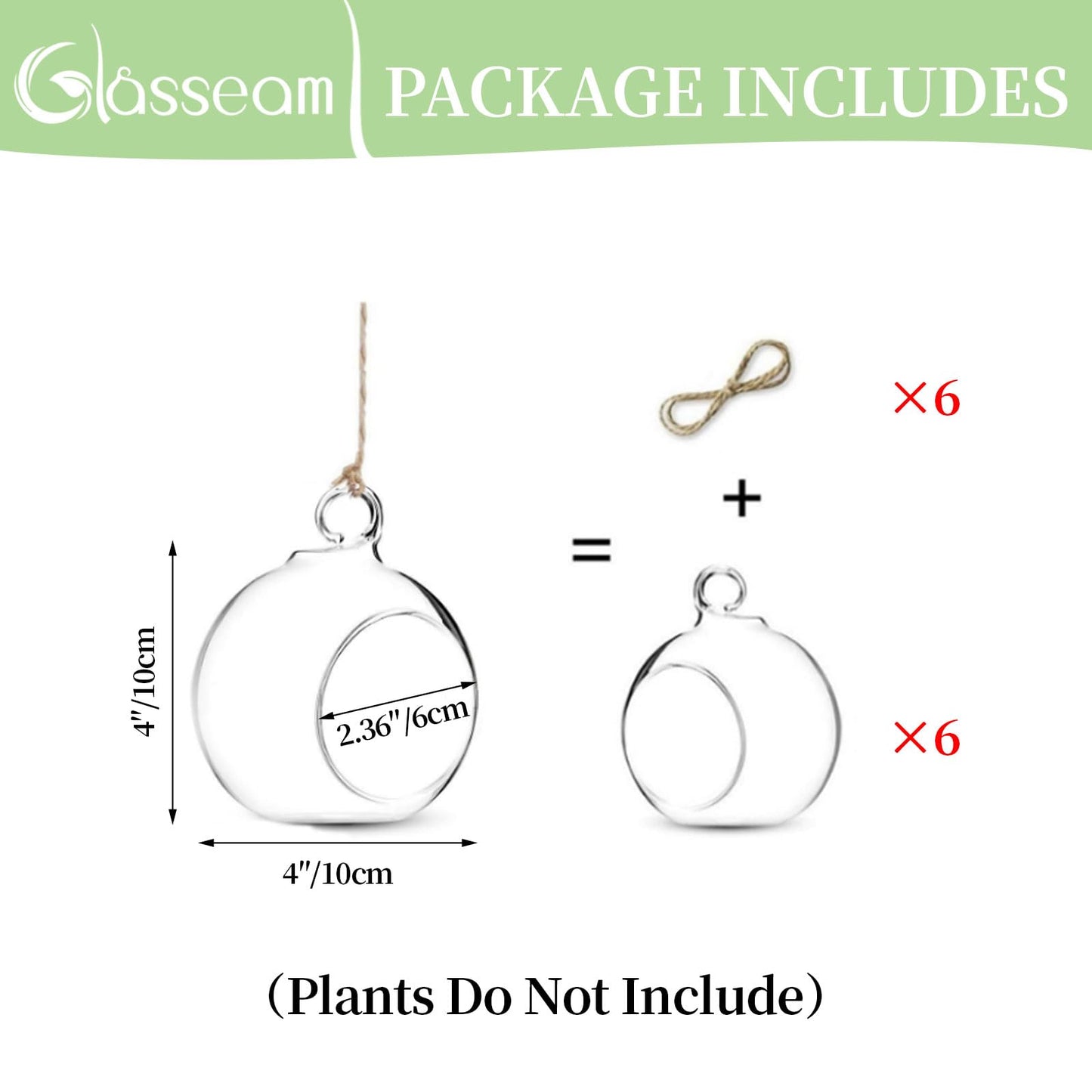 10cm Hanging Glass Globes Terrarium Orbs 6 Pcs Glass Planter Big Opening Air Fern Plants Vase Hanger 4 Inches for Home Party Wedding Garden DIY Design