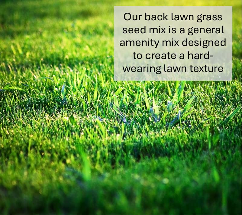 Back Lawn Grass Seed 5kg Hard Wearing (Covers 100 Square metres)