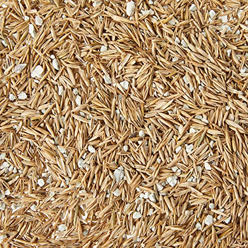 Plantworks Ltd SGRG1000 Empathy 1Kg Supreme Lawn Seed with Rootgrow, Green