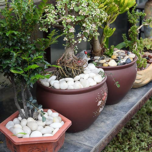 Hisredsun 2.1lb White Polished Stones 3-5cm Natural River Pebbles Gravel for Aquarium, Flowerpot, Landscaping, Vase Fillers and Garden Decoration