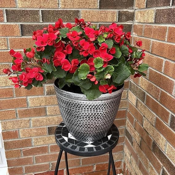 Fyne-Finds Set of 4 Large Plastic Round Silver Cromarty Plant Pot Flower Pot Planter Garden Decoration Antique 30cm, 12inch Outside Planters 10L Outdoor With Drainage Holes