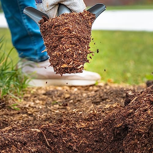 Radius Garden 22411 Root Slayer Mini-Digger Shovel, Red