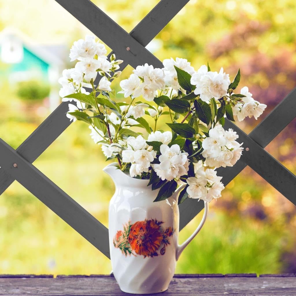 AQS INTERNATIONAL - Expanding Midnight Grey Wooden Trellis - Expandable Garden Trellises, Wall Plant Climbing, Wall Trellis Panel, Lattices Trellis Vine Crepe, Garden Fence Panel (90x180cm (3ftx6ft))