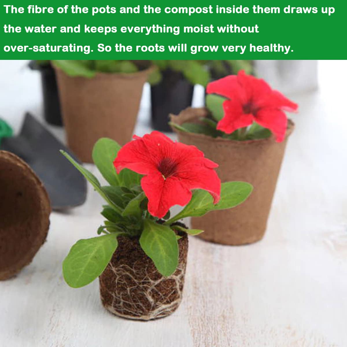Abimars Biodegradable Fibre Seed Pots, 50 Pcs 8 cm Round Fibre Pots for Seedling with 50 Pcs Plastic Plant labels and Plant label pen