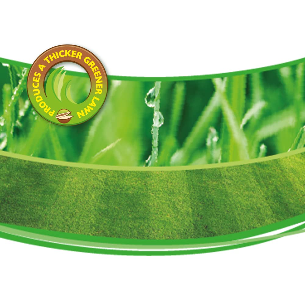 Chatsworth Love Your Lawn Grass Seed, Ready To Use, 500 G, Clear