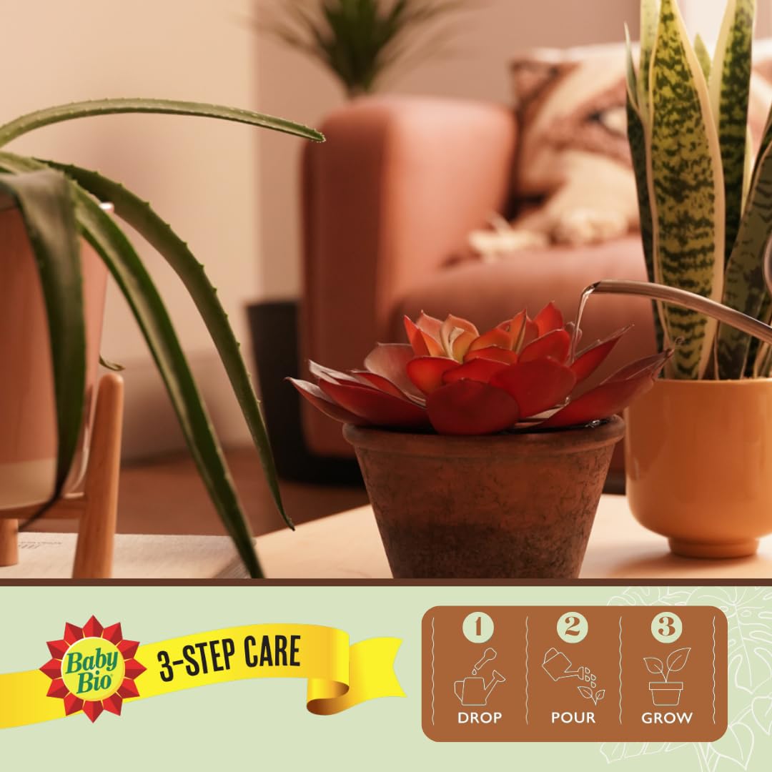 Baby Bio Pour & Feed Liquid Plant Food, 1L - Ready To Use Houseplant Food - with Seaweed Extract - to Stimulate Healthy Growth and Vibrant Flowering - Indoor Use Plant Nutrition