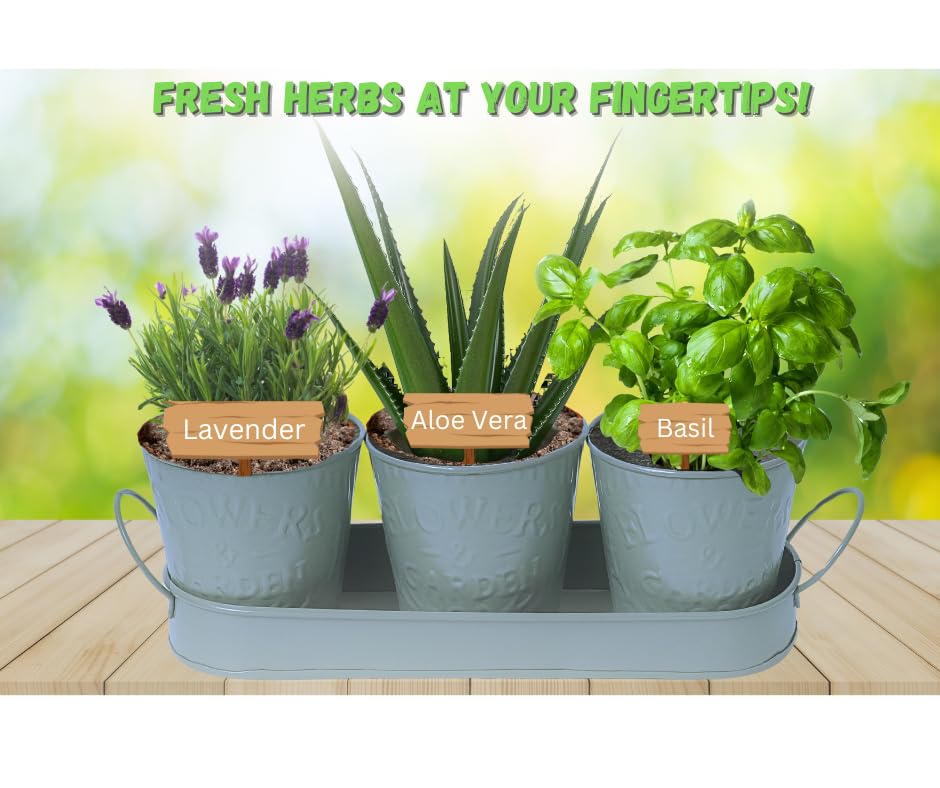 Trendi – Set of 3 Metal Plant Pots with Drip Tray | Embossed Indoor & Outdoor Plant Pots for Garden, Windowsill, Kitchen & Desk | Decorative Metal Flower Pots for Herbs & Plants | Light Green