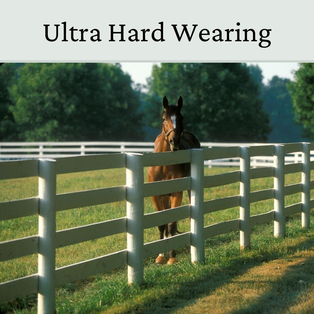 Horse Paddock Grass Seeds - Fast Growing Grass Seed for Repairs on Pastures, Fields & Gateways - Ultra Hard Wearing - 5kg - Garden Lawncare Guy