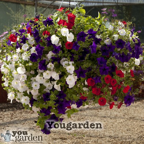 Set of 4 x 15" Easy fill Hanging Baskets