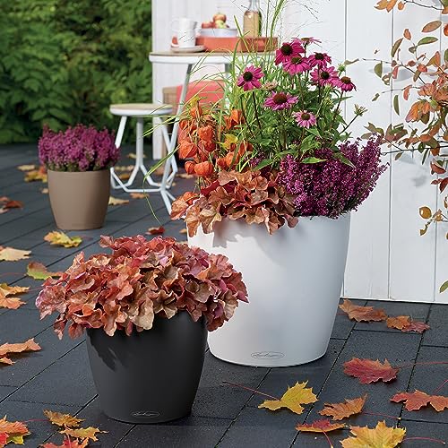 LECHUZA CLASSICO Color 35 Self-watering Planter Garden Plastic Indoor and Outdoor Flower Plant Pot with Drainage Hole D35 H30 cm Slate