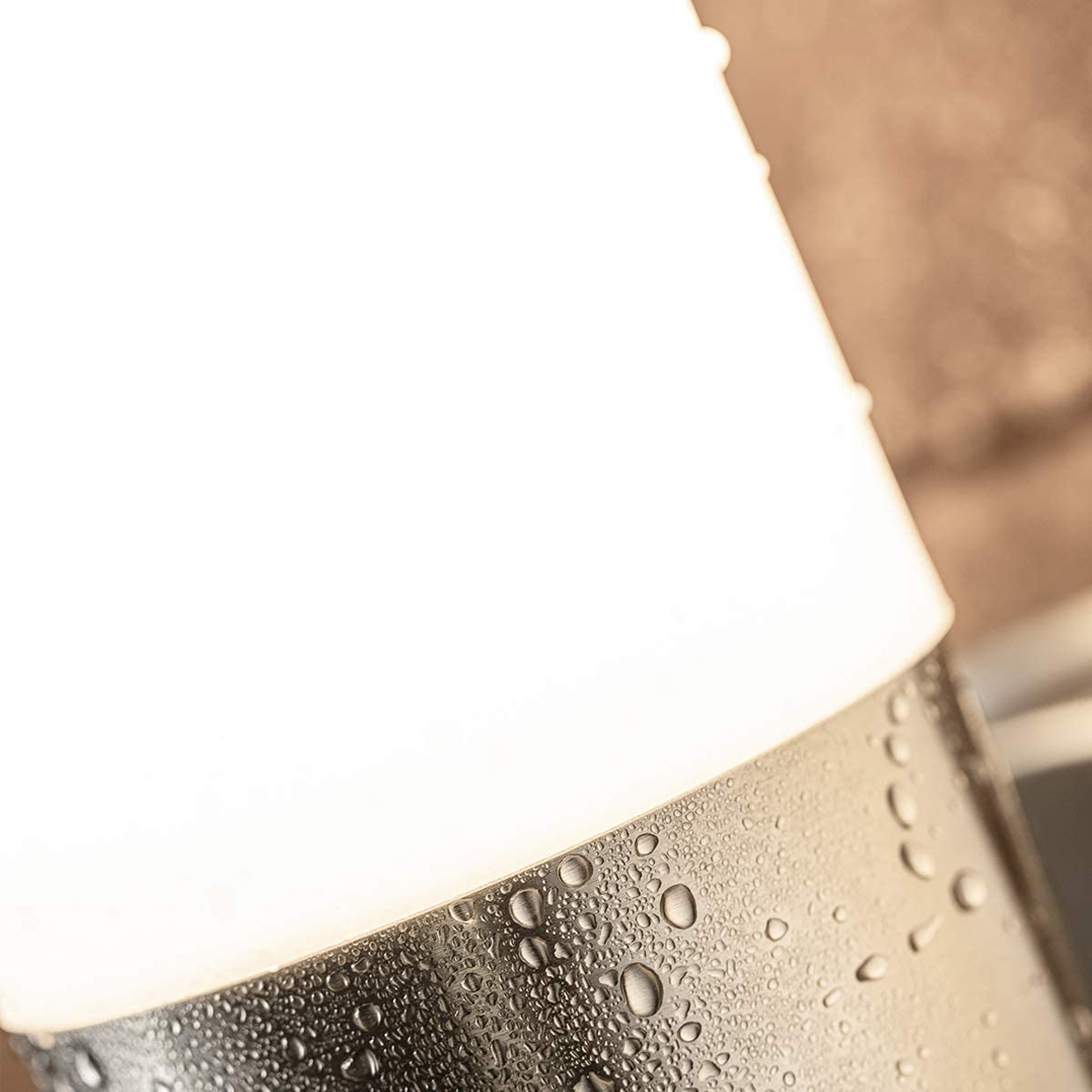 CGC Lighting Stainless Steel Silver Outdoor Outside Wall Light Indoor Garden Patio Porch Door Conservatory Decking Shed (Straight)