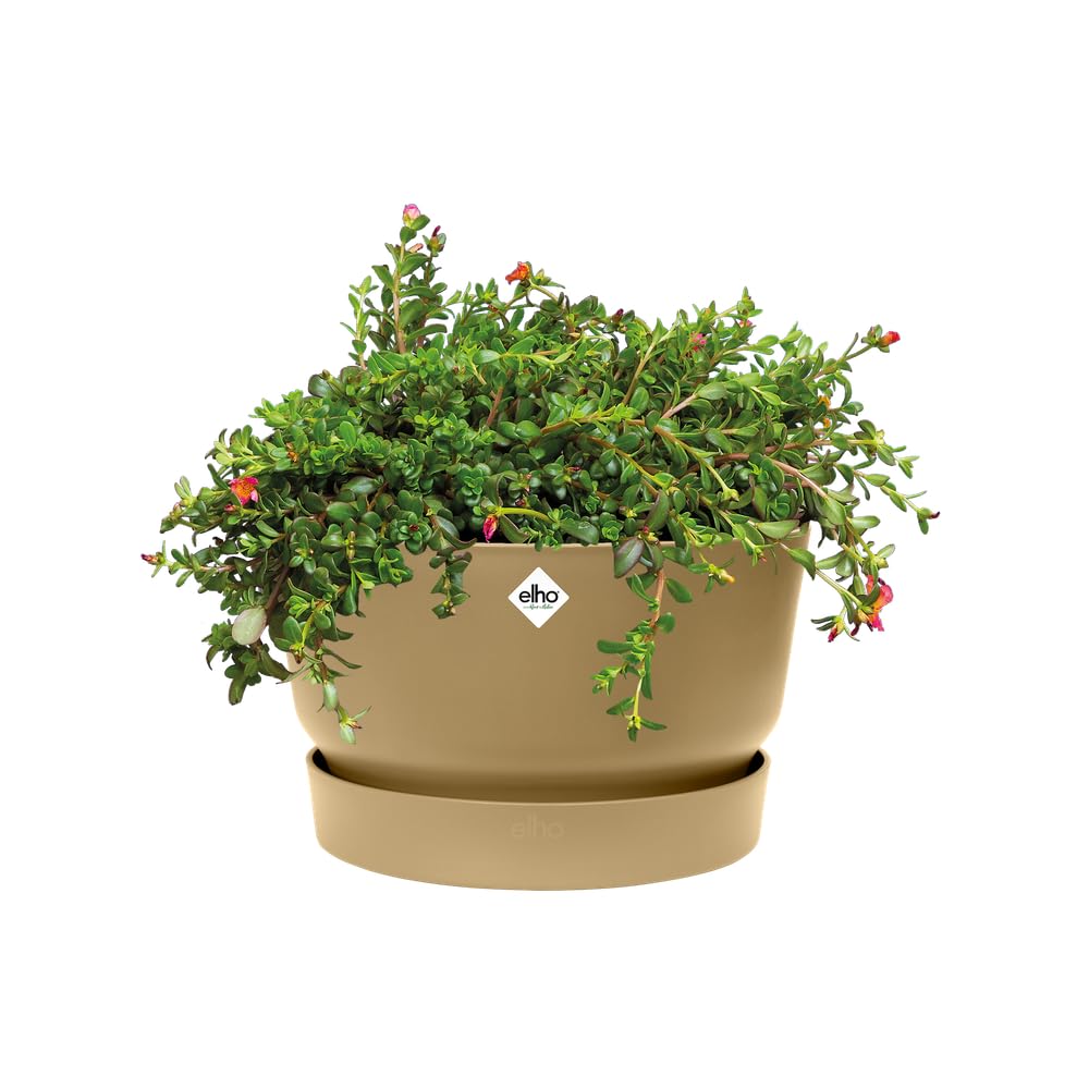 elho Greenville Bowl 33 - Large Plant Pot Outdoor - 100% Recycled Plastic - Ø 32.5 x H 19.4 cm - Beige/Golden Sand