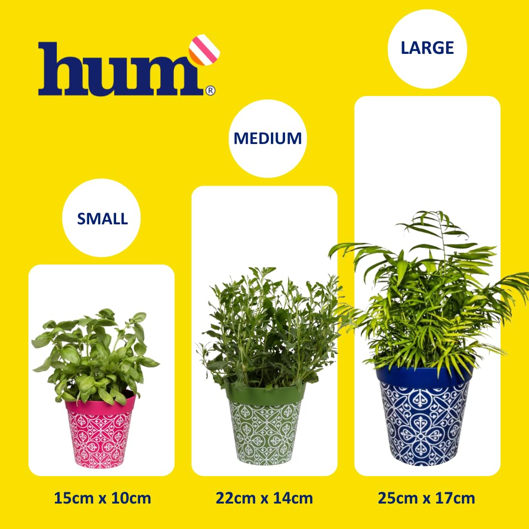Hum Flowerpots, 22cm Set of 3, Various Patterns Colours and Sizes, Indoor/Outdoor Plastic Plant Pots, Flowers Trellis & Leaves