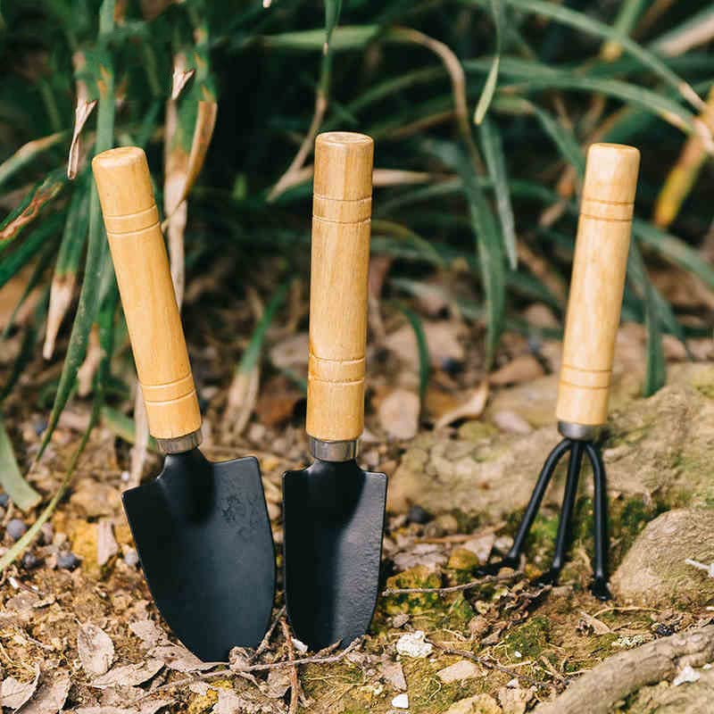 Mini Garden Tool Set 3 Pcs Hand Planting Tools Small Shovel/Rake/Spade Succulent Tools for Gardening Life Kids Indoor Small Plants Mini Medium Plant Tool Succulent Kit