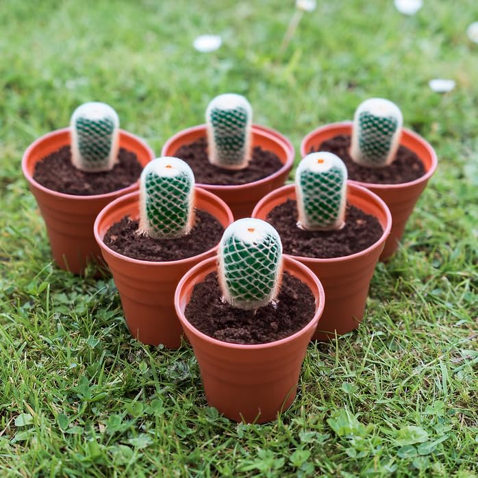 Happy Pots - 15cm Gloss Terracotta - Pack of 15 Premium Plastic Plant Pots - Reusable Flower Pots for Indoor/Outdoor Home Décor Gardening - Round, Heavy Duty, UV Resistant, Recyclable - Made in UK