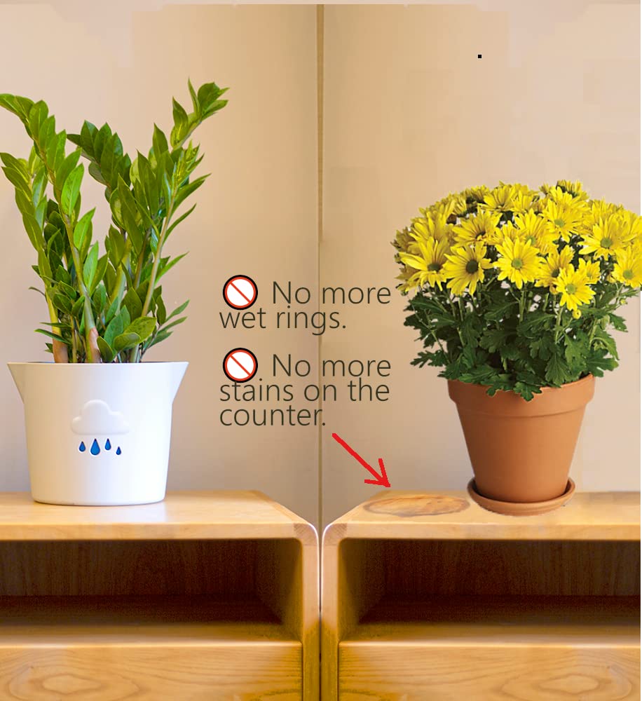 Large Self Watering Plant Pot for Indoor and Outdoor, Cloud Planter, Well Aerating and Draining Plastic 20cm Plant Pots for Orchids, African Violets, Herbs, Fiddle Leaf, Money Tree, Grey