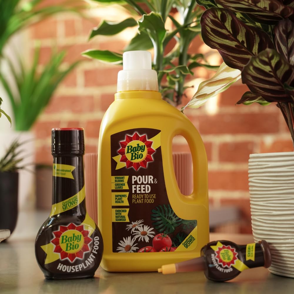 Baby Bio Pour & Feed Liquid Plant Food, 1L - Ready To Use Houseplant Food - with Seaweed Extract - to Stimulate Healthy Growth and Vibrant Flowering - Indoor Use Plant Nutrition
