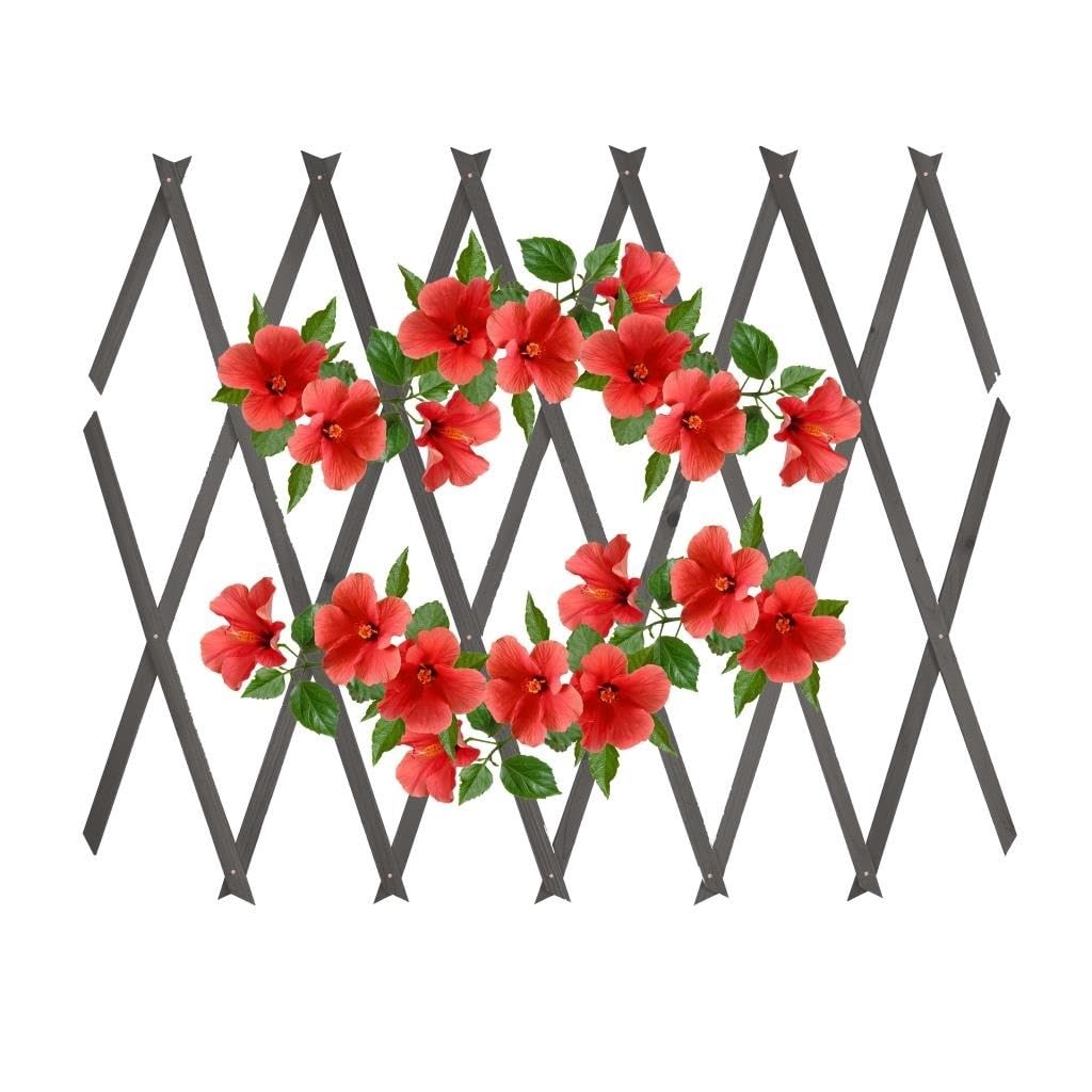AQS INTERNATIONAL - Expanding Midnight Grey Wooden Trellis - Expandable Garden Trellises, Wall Plant Climbing, Wall Trellis Panel, Lattices Trellis Vine Crepe, Garden Fence Panel (90x180cm (3ftx6ft))