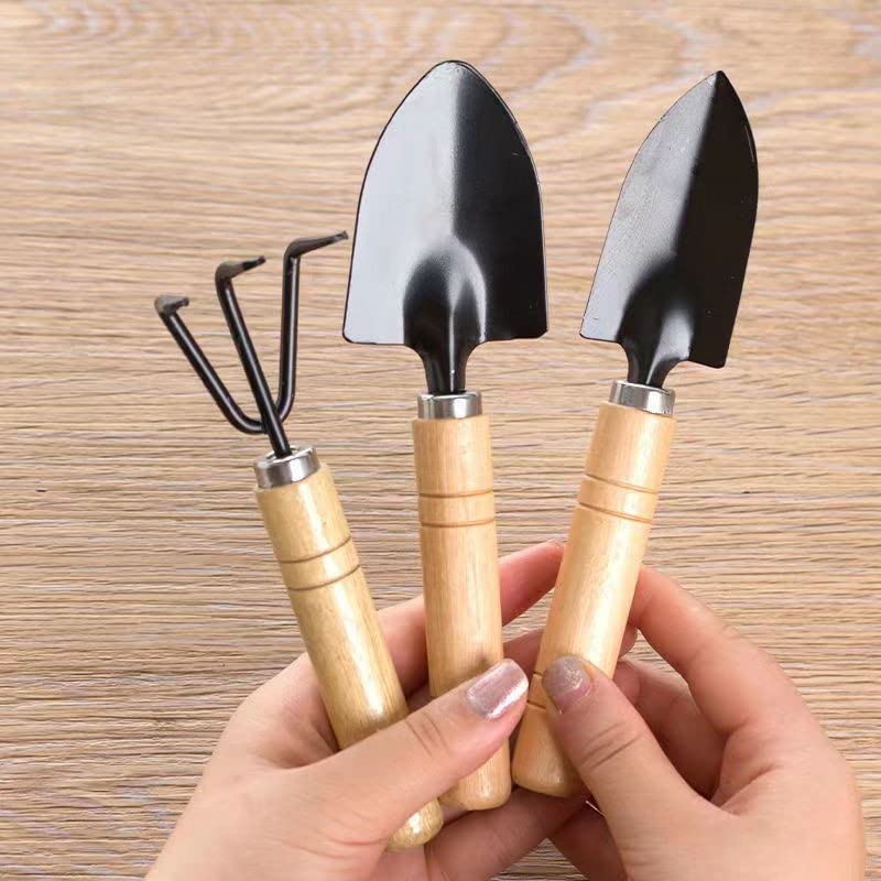 Mini Garden Tool Set 3 Pcs Hand Planting Tools Small Shovel/Rake/Spade Succulent Tools for Gardening Life Kids Indoor Small Plants Mini Medium Plant Tool Succulent Kit