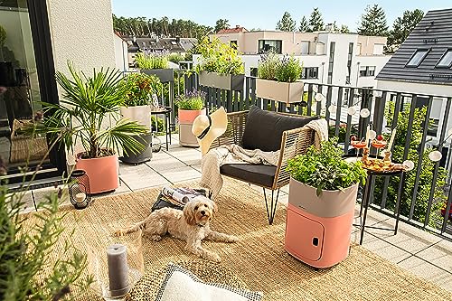 Lechuza BALCONERA Color 80 Self Watering Planter Plastic Indoor/Outdoor Flower Plant Pot Table and Window Box with Drainage Hole H19 L80 W19 cm Slate