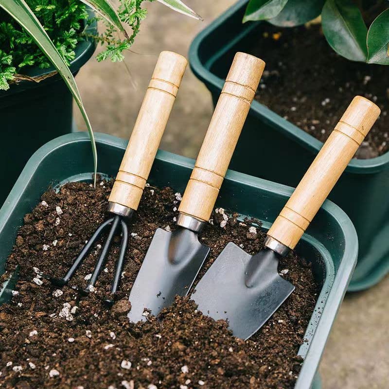 Mini Garden Tool Set 3 Pcs Hand Planting Tools Small Shovel/Rake/Spade Succulent Tools for Gardening Life Kids Indoor Small Plants Mini Medium Plant Tool Succulent Kit