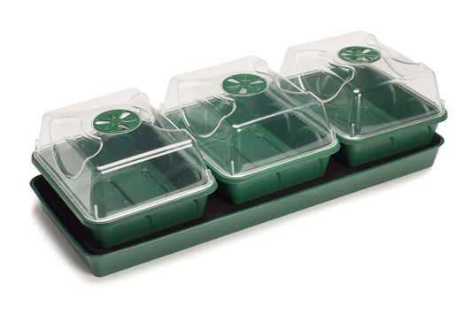 EarlyGrow MPL50033/P/C 3-Bay Windowsill Propagator with Capillary Mat and Tray (Self-Watering) 54.5 x 21.5 x 15 Centimetres - Green