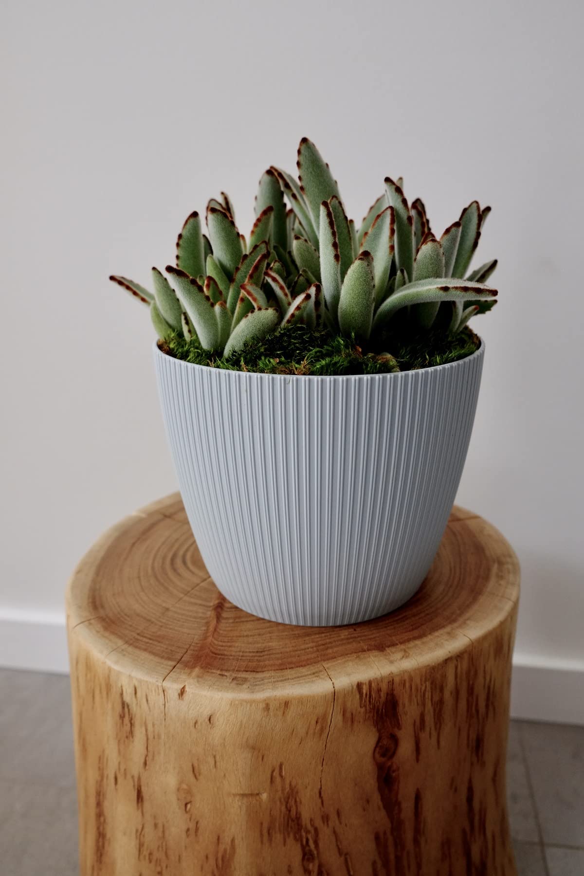 Home Garden Ornaments Plant Pots Indoor 15.5cm Diameter – Round and Plastic Plant Pot of Light Grey Colour – Striped Flower Pot – Decorative Flower Pots Outside (Ø15.5cm, Light Grey)