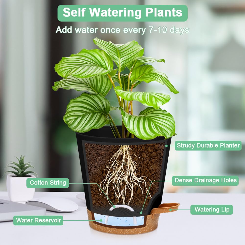 OFFCUP Plant Pots, 6pcs Plastic Plant Pots, 16.5cm Self Watering Plant Pots with Drainage Holes, Saucers and Reservoir, Suitable for Plants Indoor Modern Fashion Decorative Plastic Plant Pots (Black)