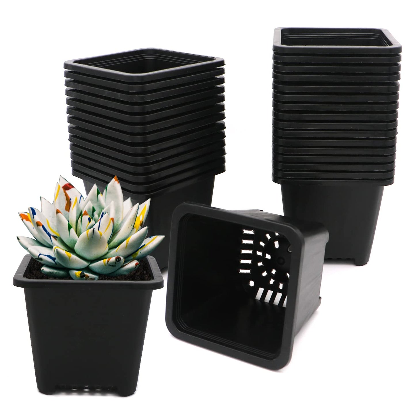 GGOUPTY Plastic Square Plant Pots 10 cm 30 Pcs Succulent Planter Nursery Pots for Flower Staring Seedling