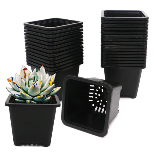 GGOUPTY Plastic Square Plant Pots 10 cm 30 Pcs Succulent Planter Nursery Pots for Flower Staring Seedling