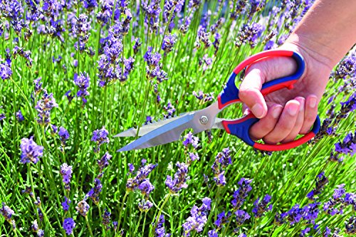 Spear & Jackson 4352MS Razorsharp Multi Scissors