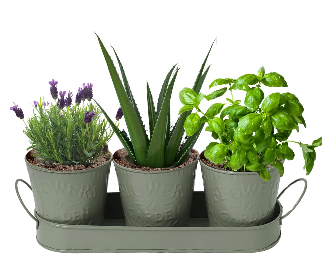 Trendi – Set of 3 Metal Plant Pots with Drip Tray | Embossed Indoor & Outdoor Plant Pots for Garden, Windowsill, Kitchen & Desk | Decorative Metal Flower Pots for Herbs & Plants | Olive Green