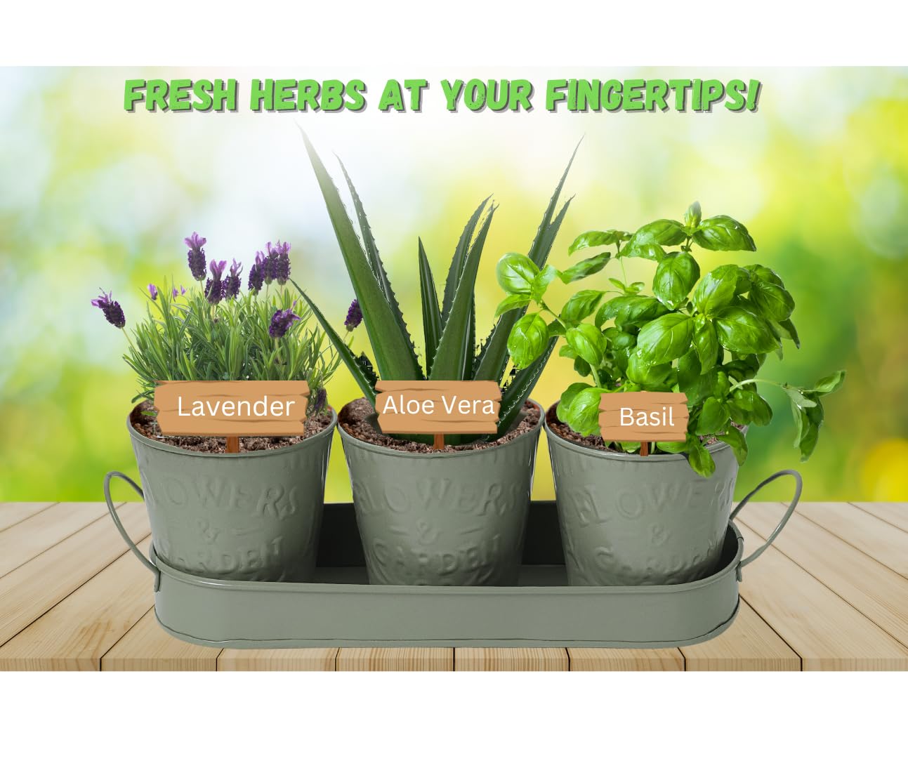 Trendi – Set of 3 Metal Plant Pots with Drip Tray | Embossed Indoor & Outdoor Plant Pots for Garden, Windowsill, Kitchen & Desk | Decorative Metal Flower Pots for Herbs & Plants | Olive Green